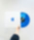 Vinyl Record