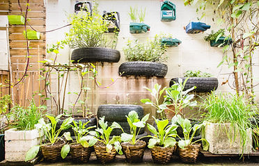 Urban Garden