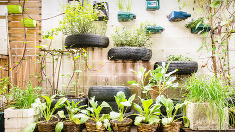 Embrace the Green Life: Your Adventure to Self-Sufficiency and Sustainable Living Begins Here!