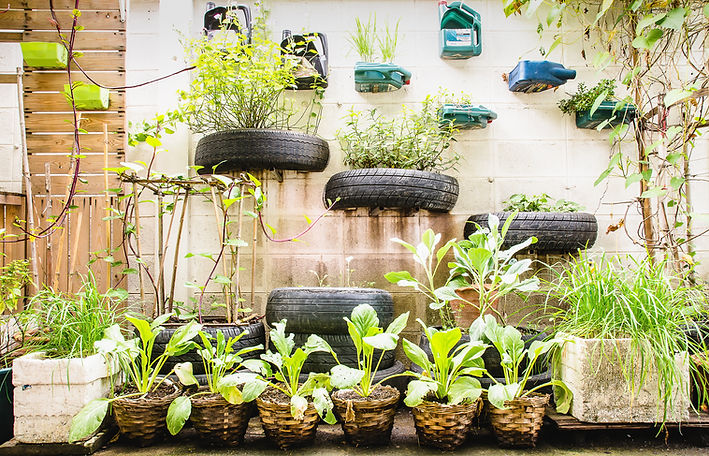 Urban Garden