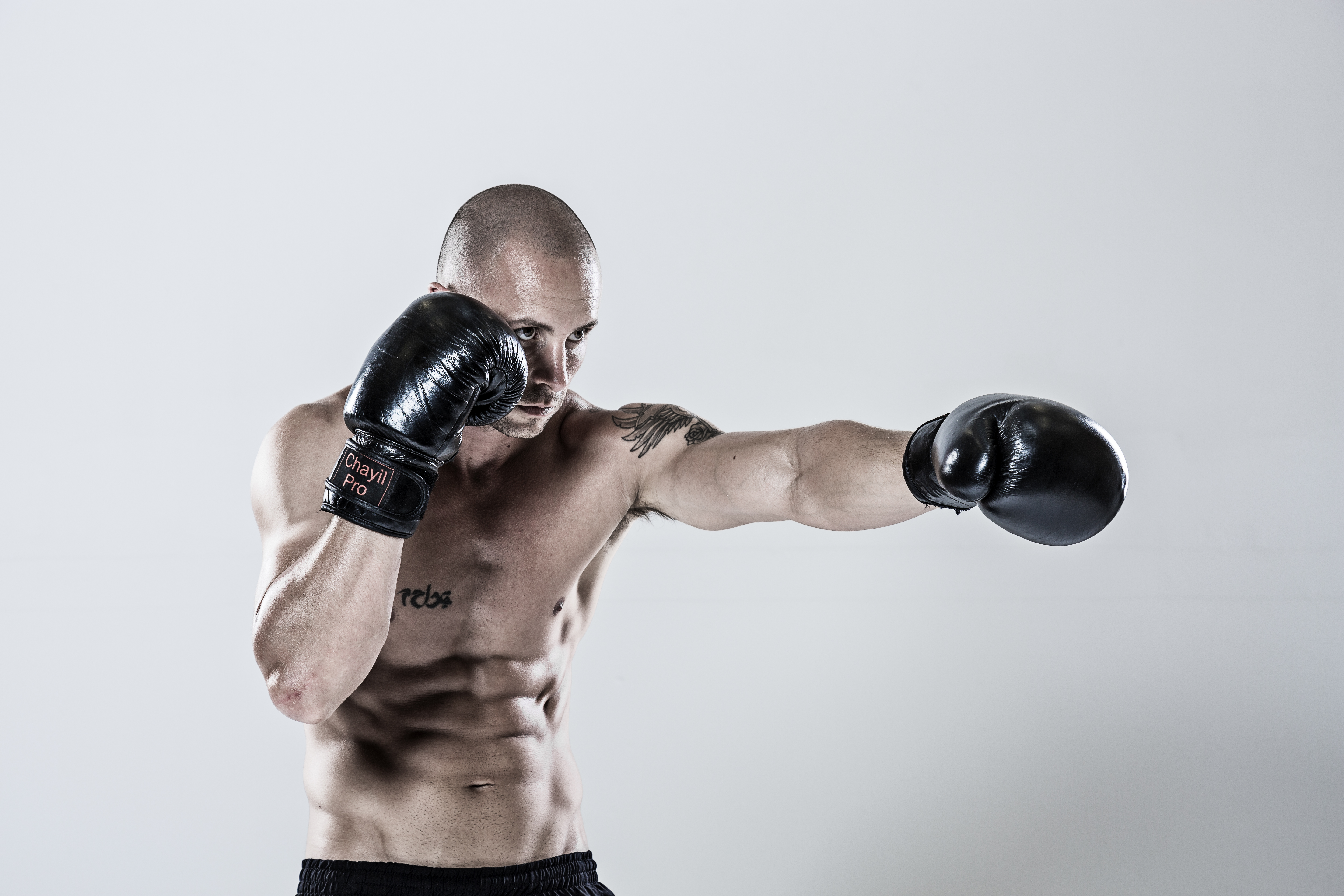 Boxer