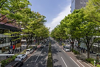都会の街並み