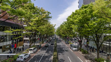 【2026年最新版】港区で法人設立予定の方へ|政策公庫の創業融資・制度融資を税理士が解説