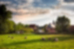Paysage rural