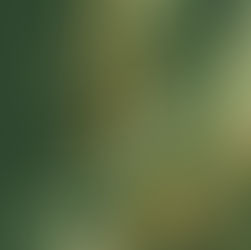 12-19 Người Giu-đa thật