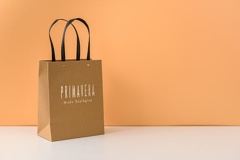 Reusable Bag