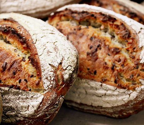 Fresh Bread