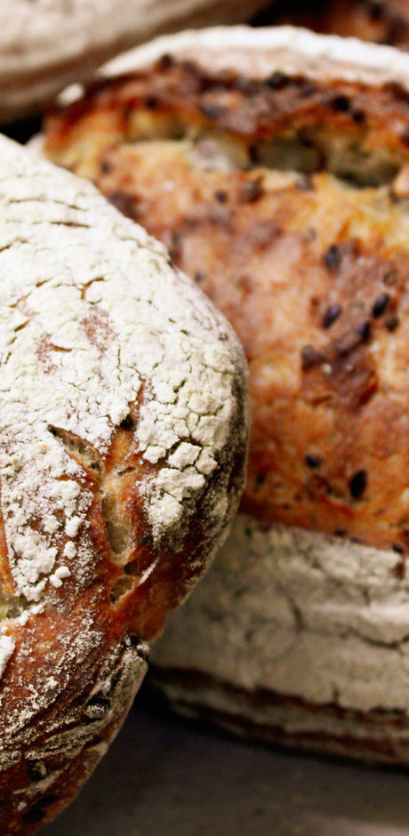 Fresh Bread
