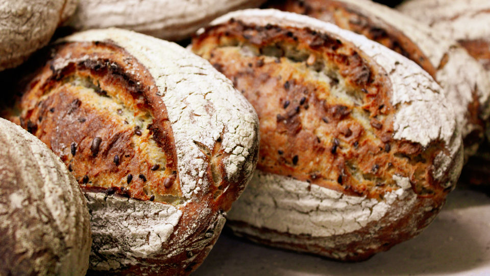 Fresh Bread