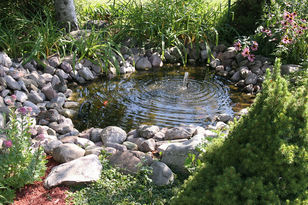 pond in a garden with stones