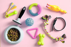 Pet Supplies Flatlay