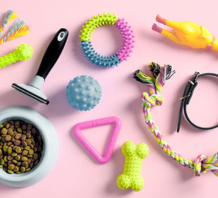 Pet Supplies Flatlay