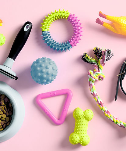 Pet Supplies Flatlay
