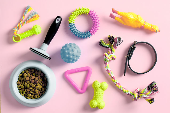 Pet Supplies Flatlay