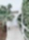 Wooden Path