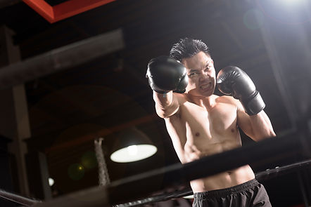 Boxer