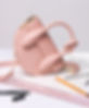 Designer's Bag