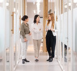Colleagues in Hallway