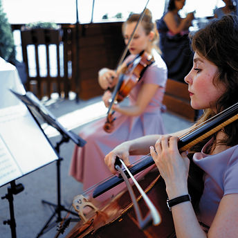 String Quartet Performance