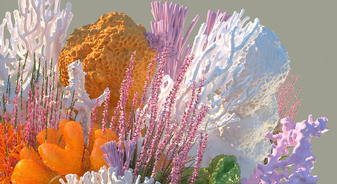 Vivid Coral Arrangement