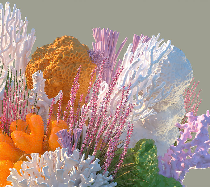 Vivid Coral Arrangement