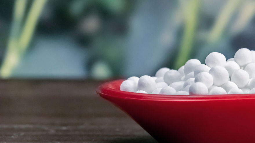 Homeopathic Pills