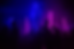 Neon Tentoonstelling