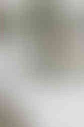 A beautiful dining room table