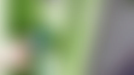 FAQ Jurídico: golpe da Falsa Central de Atendimento