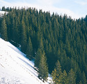Ski Slope