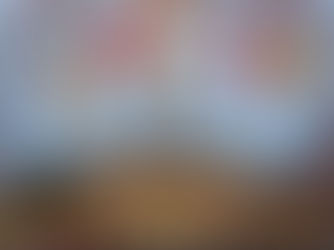 The Green Gateway: Exporting Eco-Friendly Sugarcane Bagasse Disposable Tableware from India to Vienna, Austria