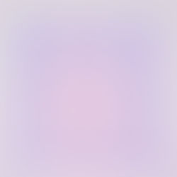 特定非営利活動法人きらら臨時総会のご報告