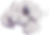 Cloud of Smoke