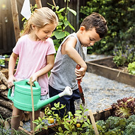 Kids Gardening