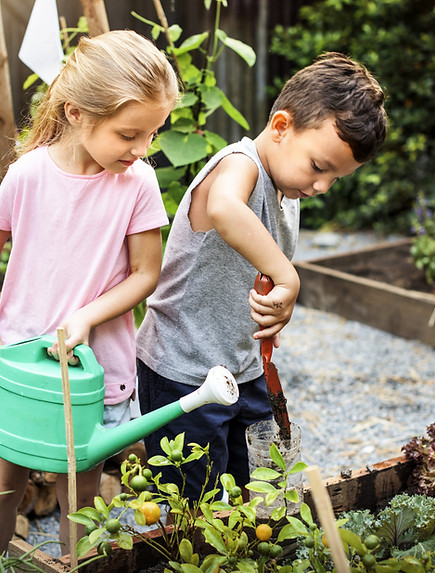 Kids Gardening