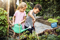 Kids Gardening