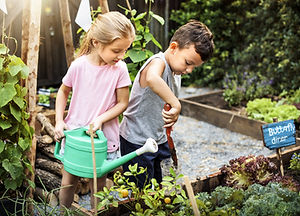 Jardinagem Infantil