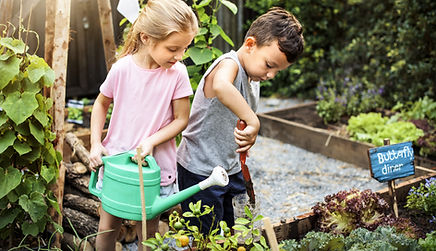 Outdoor Play