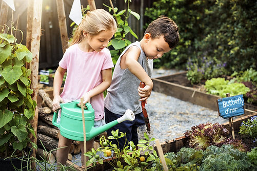 Niños cultivando juntos