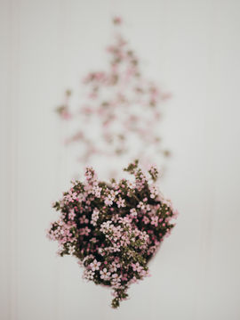 Embrace Your Unique Journey: A Celebration of Life