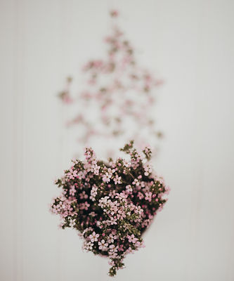Pink Bouquet
