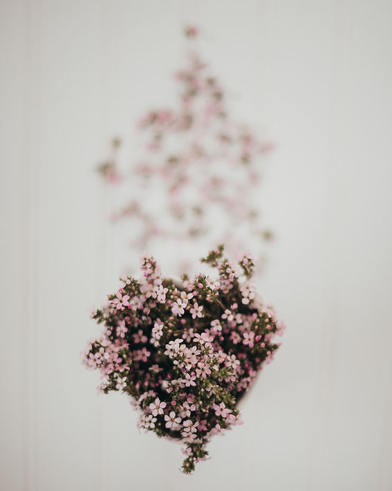 ピンクの花束