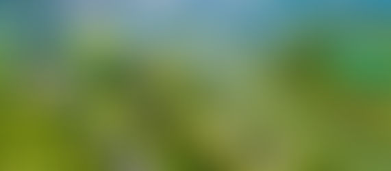 Le territoire, espace stratégique du XXIème siècle