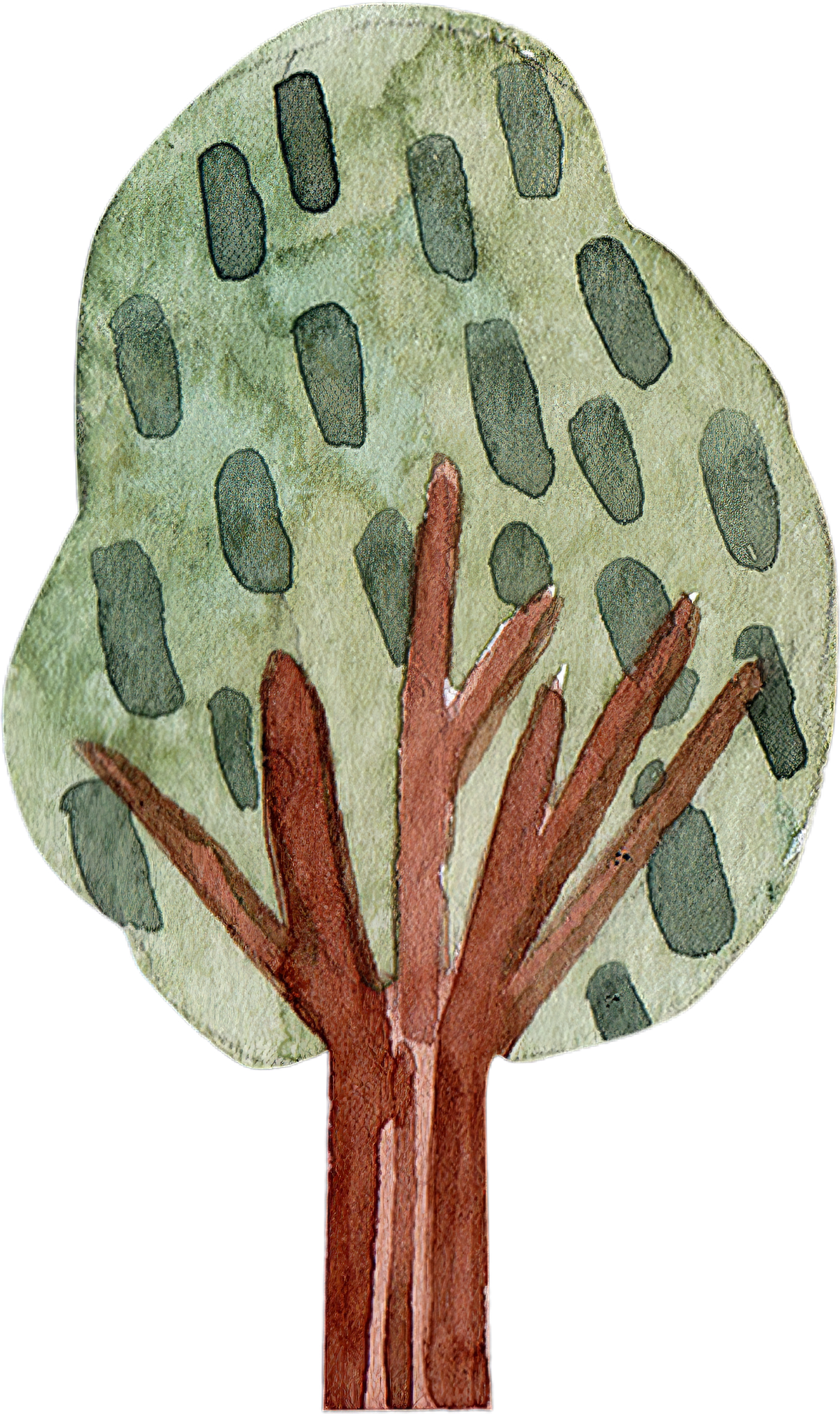 Watercolor Tree Illustration