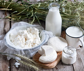 Dairy Products Display