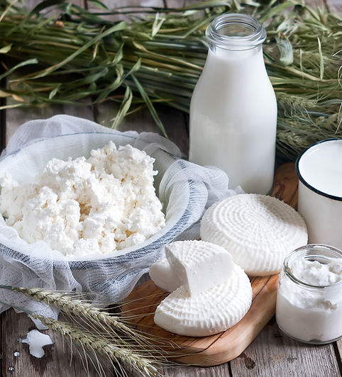 Queso de fabricación casera