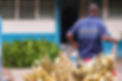 Hombre transportando caña de azúcar