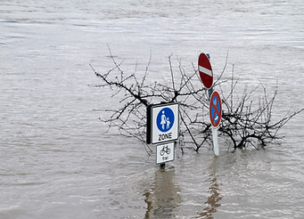 Flood