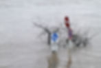 Flood