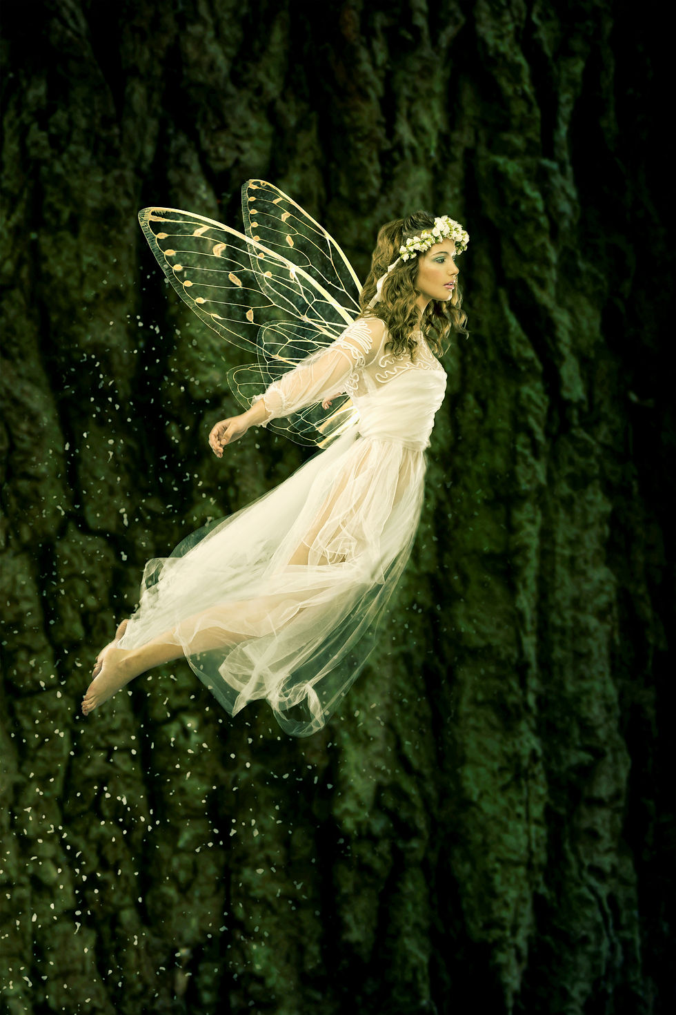 Fairy In Flight